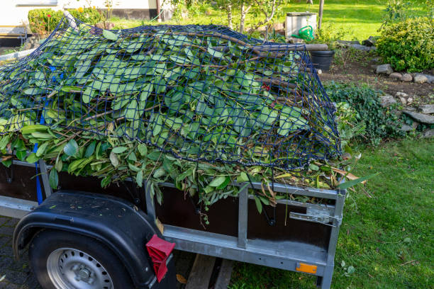 Professional Junk Removal  in Oxoboxo River, CT